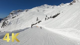 Nebelhorn  Germanys longest skislope CompleteDownhill 2019  75km Uncut [upl. by Liag271]