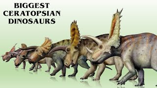 13 Biggest Ceratopsian Dinosaurs Ever Found [upl. by Rennat]