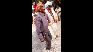 Danse Alaoui en duo رقص العلاوي ثنائي  Algerian cultureBachirrr reggada [upl. by Nedry]