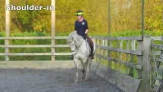 PE GCSE  horse riding 20112012 [upl. by Aryk]