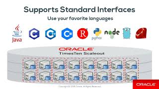 Oracle TimesTen Scaleout Overview [upl. by Enilrae]