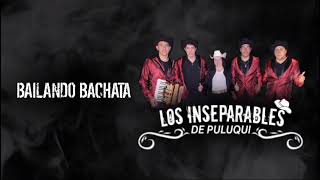 Bailando Bachata  Los Inseparables De Puluqui [upl. by Langdon]