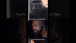 Shaq Makes Gorillas Go Crazy [upl. by Emsoc]