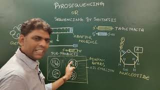 Pyrosequencing [upl. by Cirri]