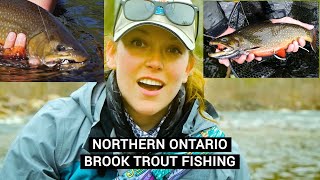 Northern Ontario Brook Trout Overview [upl. by Clarine]