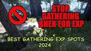 BEST GATHERING EXP SPOTS  Black desert online [upl. by Aniluj776]