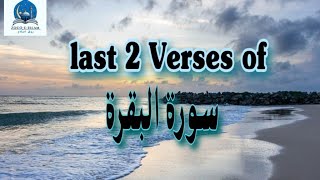 Surah Al Barqrah Last 2 Ayaat with English translation Omar Hisham Arbi verses 285286 baqarah [upl. by Secnarfyram]