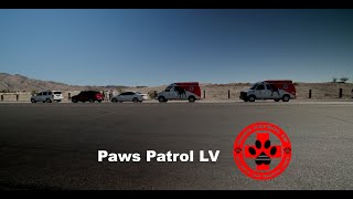 Paws Patrol LV [upl. by Nicolette]