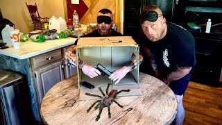 Pink Toe Tarantula Prank TheBellLife Bangs [upl. by Jamin]