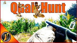 Hunting Bobwhite Quail with the 16 GA Shotgun [upl. by Gussi]