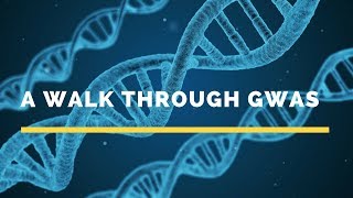 Webcast A walk through GWAS [upl. by Lerret]