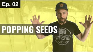 HOW TO GERMINATE SEEDS DIRECTLY IN SOIL Season 3 Episode 2 [upl. by Dodwell843]