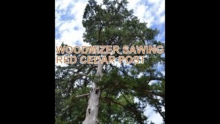 WoodMizer Sawing Red Cedar Post [upl. by Elpmid]