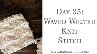 Day 35 Waved Welt Knit Stitch [upl. by Mccurdy]