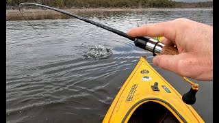 Lake Bellfield Grampians XL Rainbow Trout [upl. by Auqinaj]