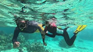 Tetiaroa French Polynesia  Snorkeling tour 2023 Oct 04 [upl. by Suirrad904]