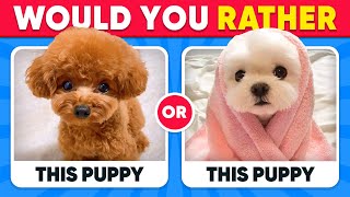 Would You Rather ANIMALS Edition 🐶😺 Quiz Kingdom [upl. by Cia]