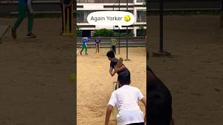 Gully Cricket Yorker amp Slower Fast Bowling By Junior Hardik Pandey cricket hardik viratkohli [upl. by Prowel]