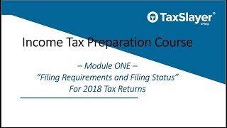 Filing Status and Filing Requirements for Tax Returns [upl. by Tammany]