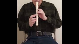 Surprise Symphony  Haydn on recorder [upl. by Jemma]