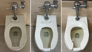 Three 2000s American Standard Afwall Toilets [upl. by Anide]