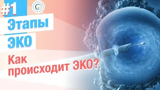 ⭐ Как происходит ЭКО Этапы процедуры ЭКО и ИКСИ [upl. by Meridel]