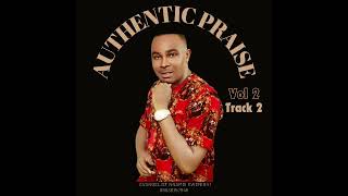 AUTHENTIC PRAISE VOL 2 TRACK 2 — NNAMDI EWENIGHI [upl. by Ardnod11]