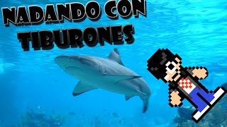 Nadando con Tiburones Zoologico Guadalajara [upl. by Shane638]