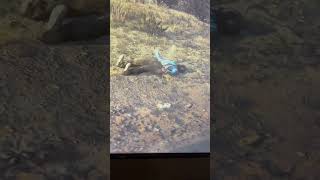 Saddest npc death sad rdr2 reddeadredemtion2 gaming arthurmorgan gta [upl. by Hoo139]