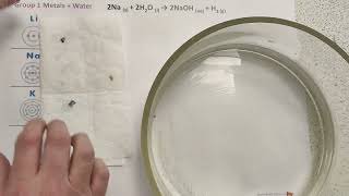 Group 1 Alkali Metals Reaction with water Lithium Sodium Potassium [upl. by Nelra430]