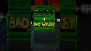 The Digitech Bad Monkey EXPOSED shorts [upl. by Eam]