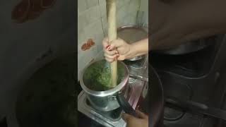 stort cooking  saag aur Makka ki roti song  😋 [upl. by Erdei]