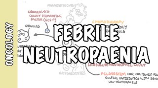 What is febrile neutropaenia neutropenia  neutrophil function pathophysiology treatment [upl. by Branch]