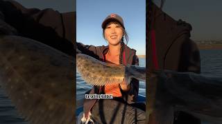 Targeting halibut on the skiff fishing skiff fishinglife fishingdaily fishingthisway fishon [upl. by Nine]