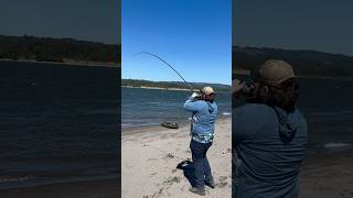 fish on columbia river summer steelhead 4th of july plunking fishing outdoors river [upl. by Parthena]