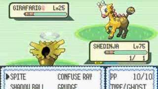 pokemon emerald cheat the safari zone [upl. by Idnor]