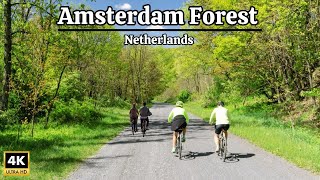 Ebike Tour 🇳🇱 Forest of Amsterdam to Amstelveen Netherlands  The amsterdamse Bos [upl. by Nic560]