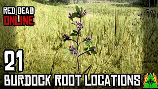 Red Dead Redemption 2 ONLINE  Burdock Root Locations [upl. by Manuel443]