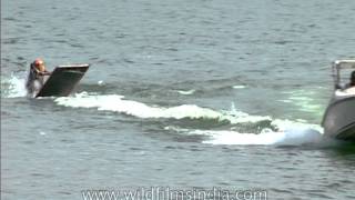 Water skier falls in water while waterskiing at Pong Dam [upl. by Arliene566]