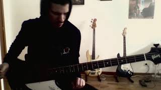 Tool  Schism bass cover [upl. by Rovelli489]