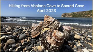 Hiking Abalone Cove Trail to Sacred Cove  Rancho Palos Verdes  April 2023 [upl. by Amyaj]