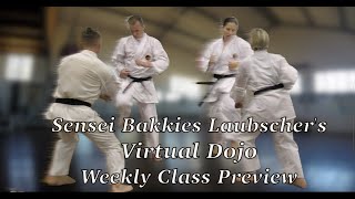 Bakkies Laubscher’s Virtual Dojo 2024 Week 36 Class [upl. by Viviane38]