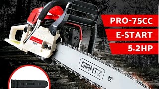 Assembling the 22in Gaintz chain saw from Ebay [upl. by Shulins808]