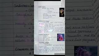 OBGPHYSIOLOGICAL CHANGES DURING PREGNANCY Notes on GNM StudentsShorts [upl. by Allisurd]