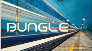 Bungle  Drum and Bass  Tribute  Mix Pure Liquid No 333 [upl. by Eiblehs323]