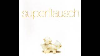 Superflausch  Ficken Popmonster Remix [upl. by Einnig]