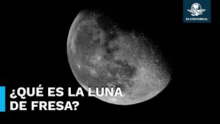 ¿Qué es y cuándo ver la Luna de Fresa 2024 [upl. by Walliw]