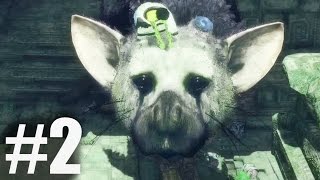 THE LAST GUARDIAN Final Boss amp ENDING Gameplay Walkthrough PS4 [upl. by Andres]