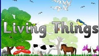 Living things activity 💫performed by Nursery Class ✨Clear the Concept of your child 😇Subscribe [upl. by Yznyl532]