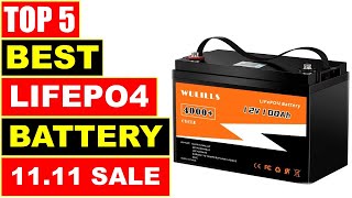 BEST LiFePO4 Battery In 2024  Top 5 Best LiFePO4 Battery for Solar [upl. by Skurnik]